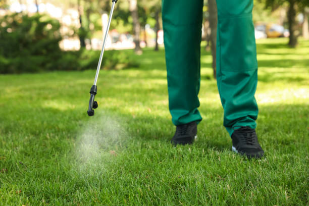 Best Pest Inspection Near Me  in Bronson, FL