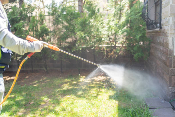 Best Pest Control Near Me  in Bronson, FL